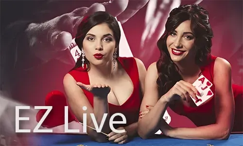 Bingo Promotions